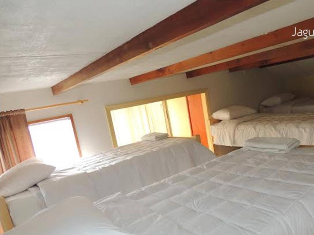 Hostel Jaguar Βίνα Ντελ Μαρ Δωμάτιο φωτογραφία