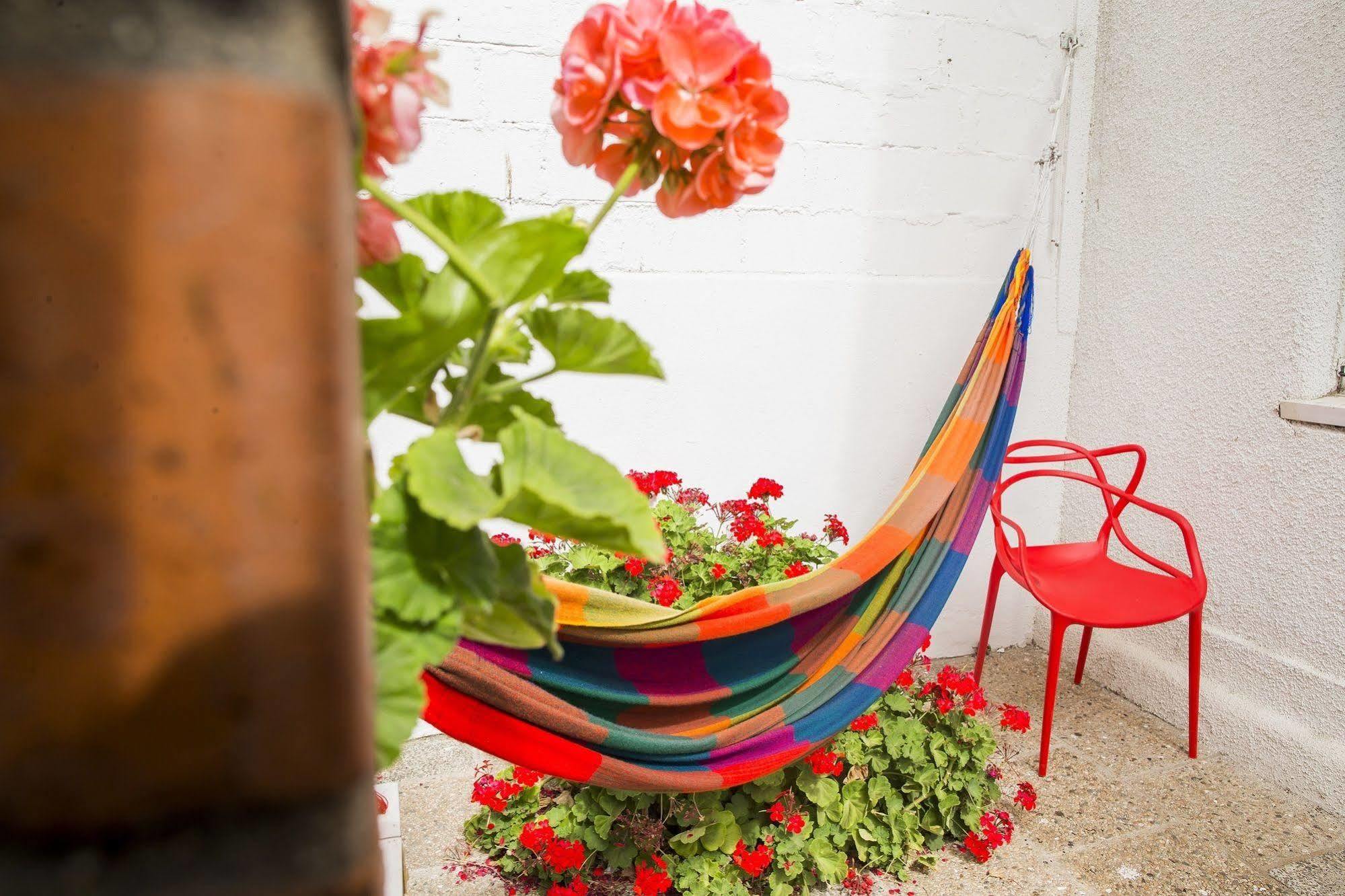 Hostel Jaguar Βίνα Ντελ Μαρ Εξωτερικό φωτογραφία